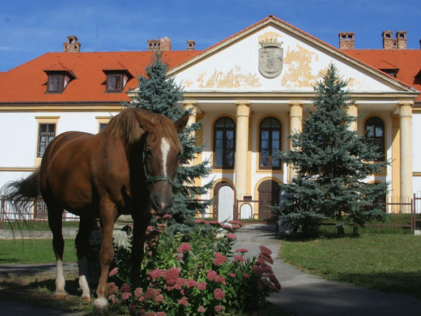 Centrum sociálnych služieb v Rohove si pripomenulo 75. výročie vzniku