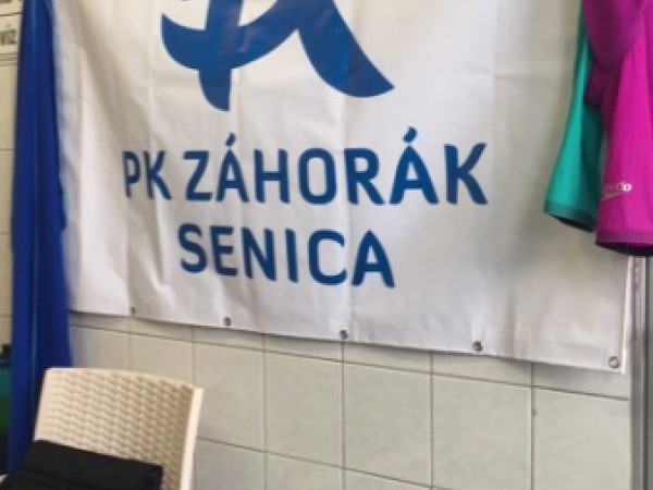 Jarné majstrovstvá  západoslovenskej oblasti v plávaní v Nových Zámkoch. 41 medailí pre plavcov z PK Záhorák.