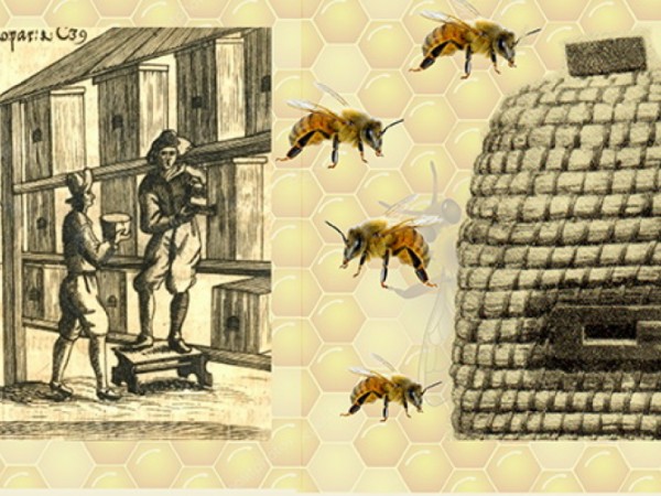 Oslavy 100. výročia založenia organizovaného včelárstva s prednáškou, ochutnávkami a uvedením knihy
