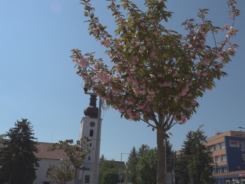Ako sme zvládli apríl s koronavírusom v Senici