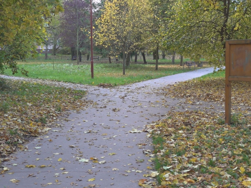 Ako prebiehala architektonická súťaž na obnovu parku