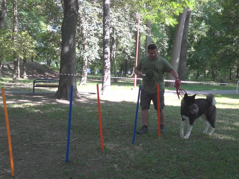 Dog Day v parku potešil všetkých psíčkarov