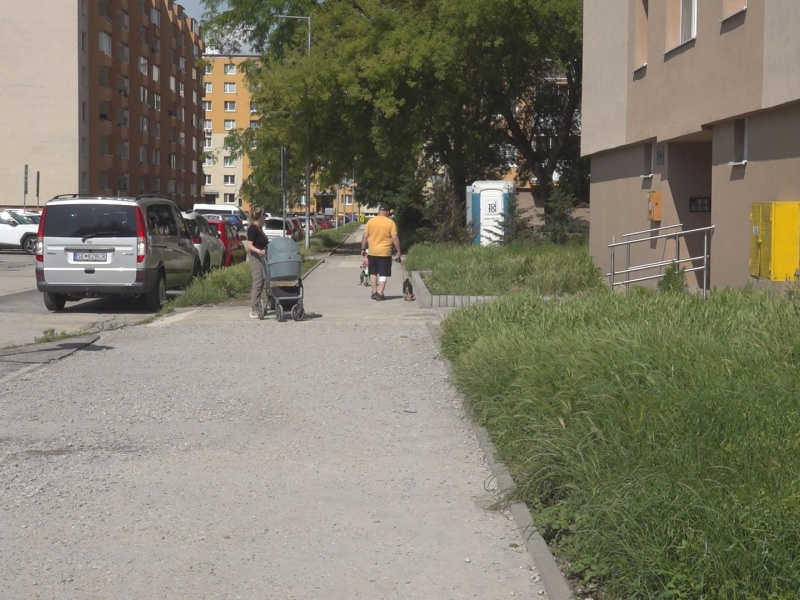 Obyvatelia Senice sú sklamaní z údržby zelene