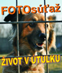 ZIVOTVTULKU_fotosutaz_m