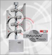 pavian