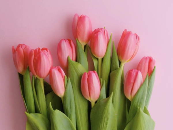 Všetko najlepšie k MDŽ