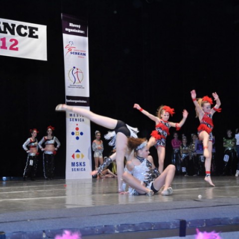 SE DANCE - 2012